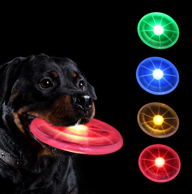 Lysande hundfrisbee – Lek utan gränser, även på natten